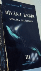 Yerel kapak resmi