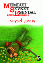 Yerel kapak resmi