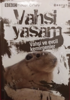 Yerel kapak resmi