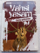 Yerel kapak resmi