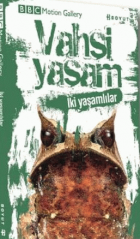 Yerel kapak resmi