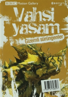 Yerel kapak resmi