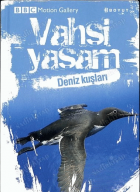 Yerel kapak resmi