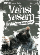 Yerel kapak resmi