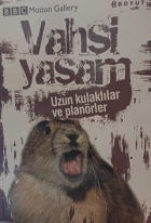 Yerel kapak resmi