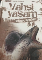 Yerel kapak resmi