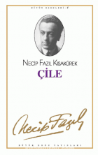 Yerel kapak resmi